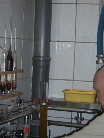 09_der Meister beim Zuckertest