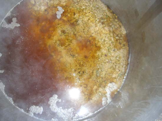 32_Hopfen